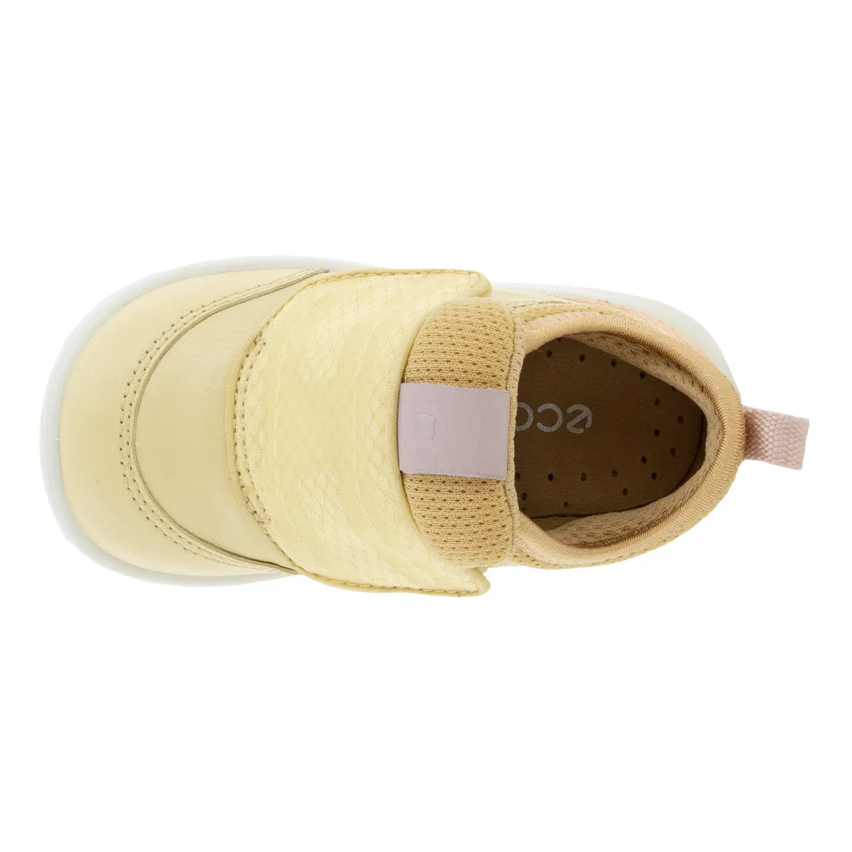 Ecco SP1 Lite Straw Powder