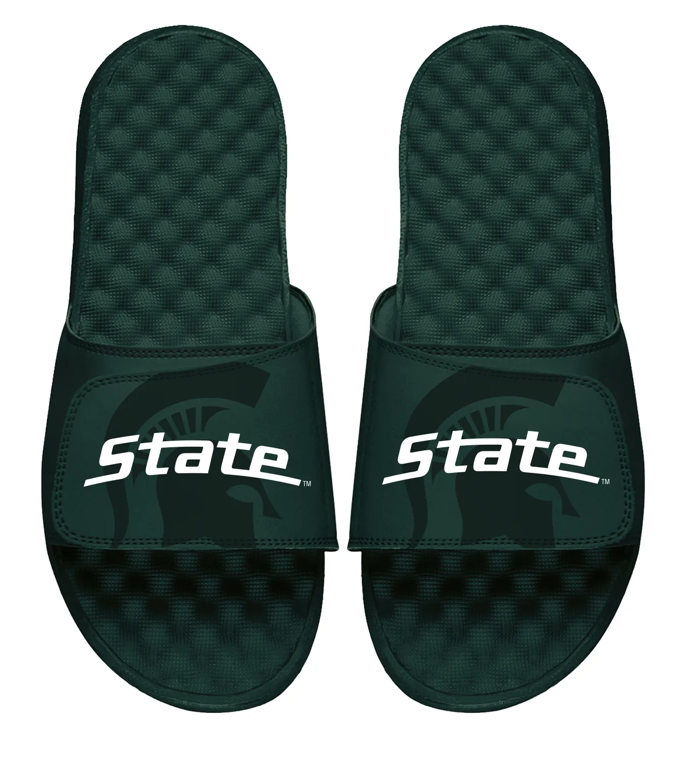 Michigan State Tonal Slides