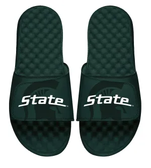 Michigan State Tonal Slides